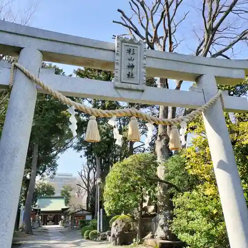 星川杉山神社(神奈川県)