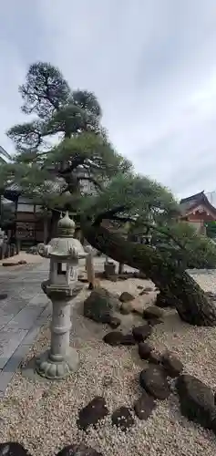 瑞光寺の庭園