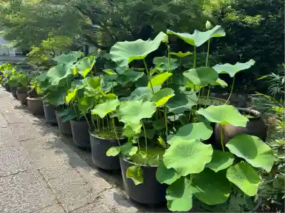 伊勢の国 四天王寺(三重県)