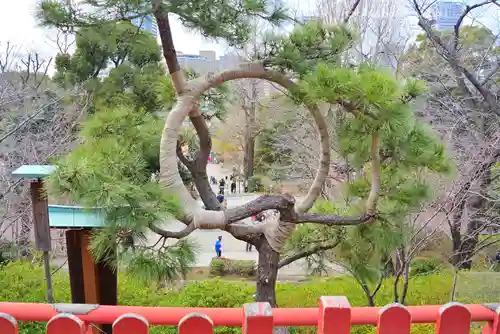 清水観音堂(東京都)