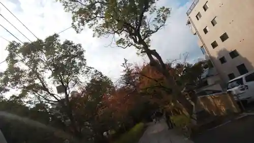 安井金比羅宮(京都府)