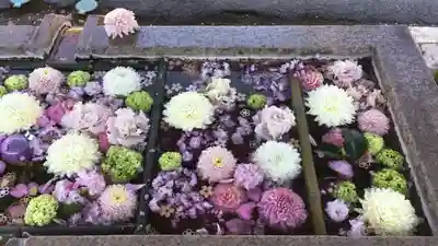 長野縣護國神社の手水舎