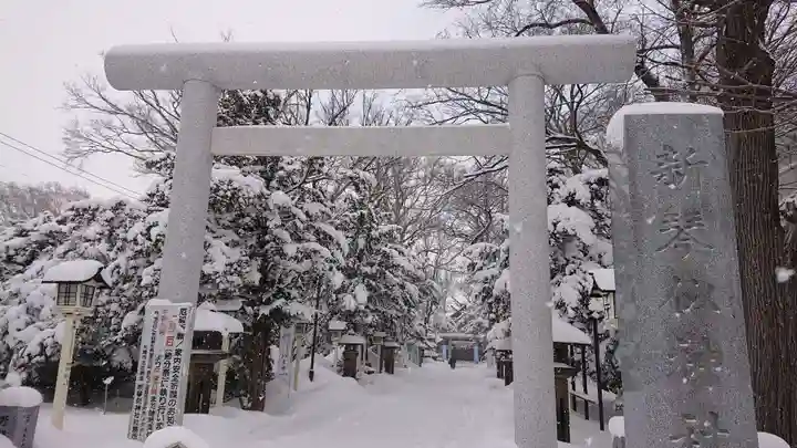 新琴似神社の鳥居