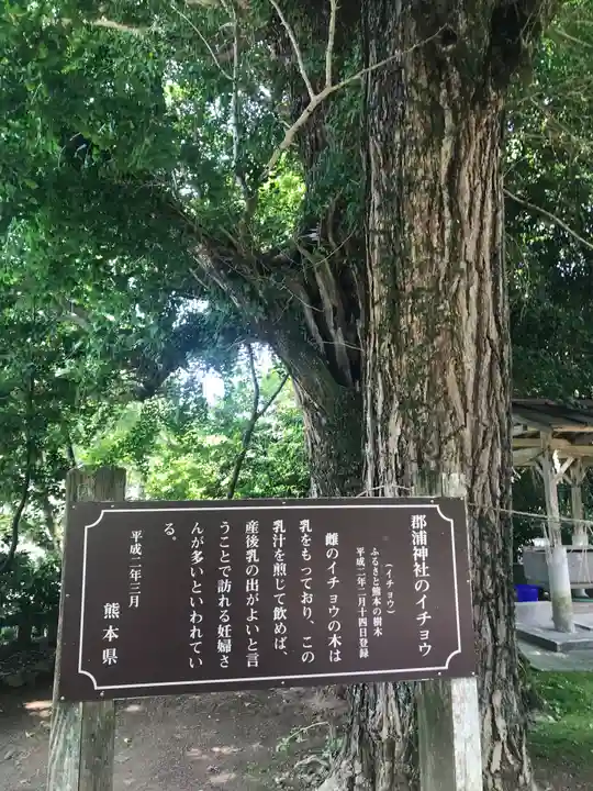 郡浦神社(熊本県)
