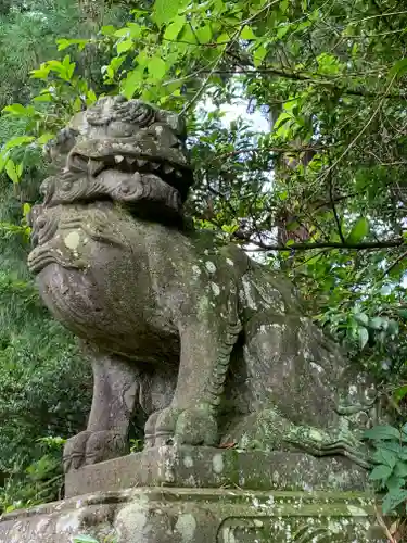 熊野神社の狛犬