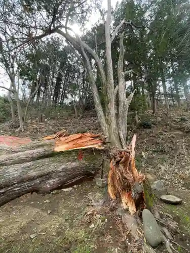 仙台八坂神社(宮城県)