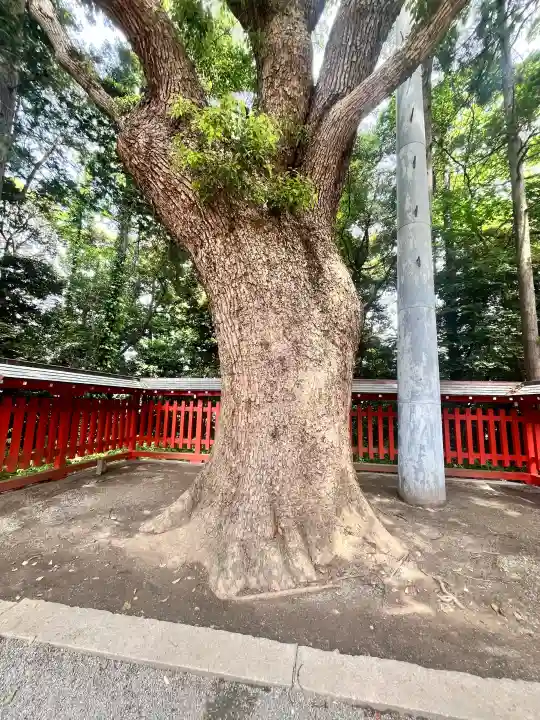 筥崎宮(福岡県)
