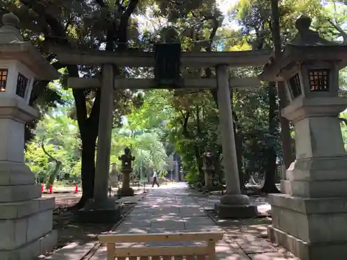 赤坂氷川神社の鳥居