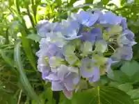 大安禅寺(福井県)