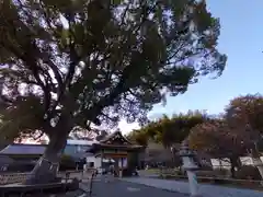 平野神社(京都府)