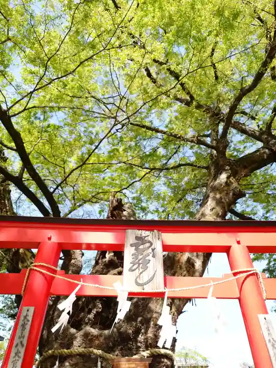 秩父今宮神社の{uncategorized: "未分類", other: "その他", undefined: "問題あり", building: "その他建物", grave: "お墓", sacred_gate: "鳥居", guardian: "狛犬", statue: "像", buddha: "仏像", history: "歴史", nature: "自然", garden: "庭園", animal: "動物", pagoda: "塔", temizu: "手水舎", mountain_gate: "山門・神門", sanctuary: "本殿・本堂", subordinate: "末社・摂社", art: "芸術", scenery: "景色", jizo: "地蔵", ema: "絵馬", goshuin: "御朱印", omikuji: "おみくじ", items: "授与品その他", amulet: "お守り", goshuincho: "御朱印帳", eats: "食事", festival: "お祭り", votive_dance: "神楽", shichigosan: "七五三参", wedding: "結婚式", experience: "体験その他", initially: "初詣", around: "周辺", anti_infection: "感染症対策"}