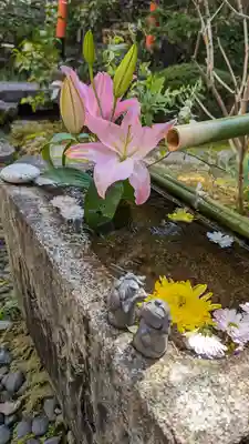 宝蔵寺(京都府)