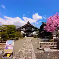 妙顯寺(妙顕寺)(京都府)