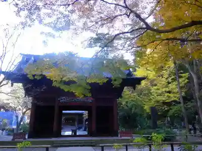 妙本寺の山門・神門