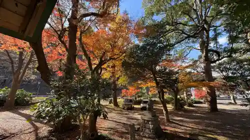 山崎神社(京都府)