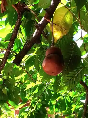 秋葉神社(東京都)