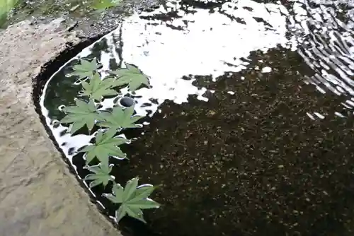 鹿島大神宮の手水