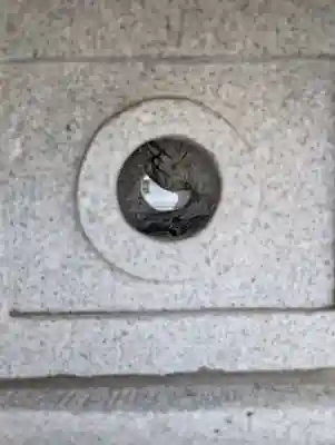 本村神明社(神奈川県)