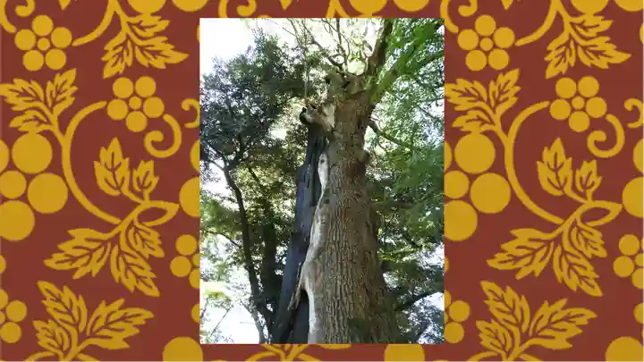 常陸國總社宮(茨城県)