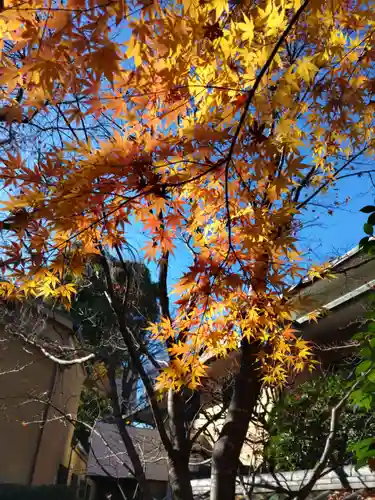 宝勝山　南藏院   蓮光寺の庭園