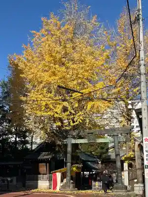 湯島天満宮(東京都)