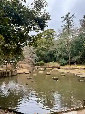 出雲大社(島根県)