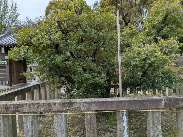太閤山常泉寺(愛知県)