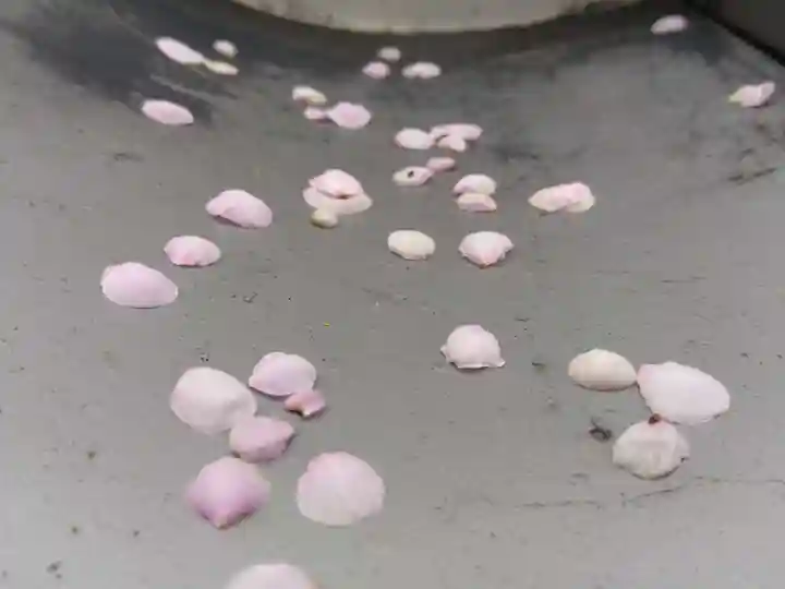 成就院(兵庫県)