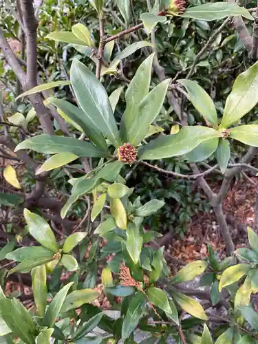 護国之寺の自然