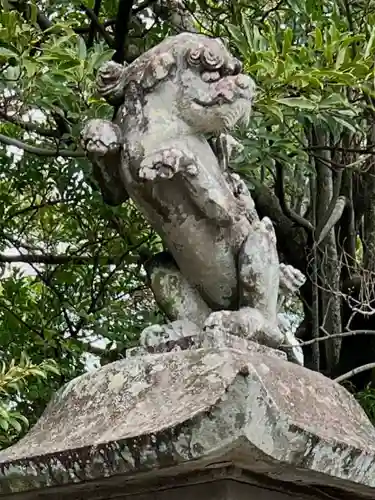 猛島神社の狛犬