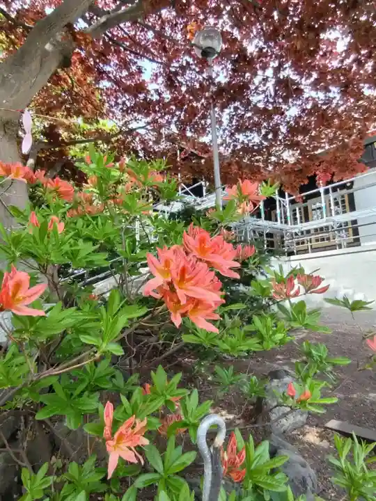 厚別神社(北海道)