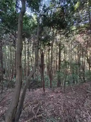 鳴滝奥の院(徳島県)