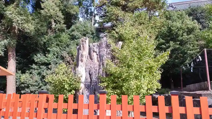 鶴岡八幡宮(神奈川県)