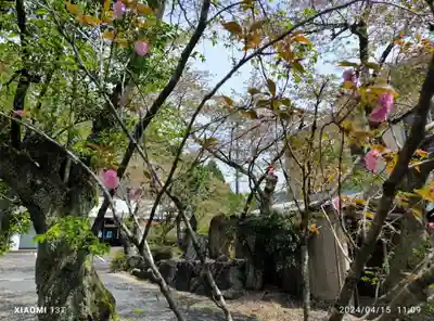 天鷹神社(岐阜県)