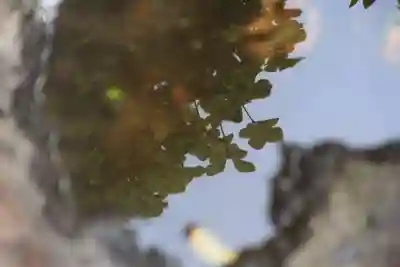 大鏑神社の手水舎