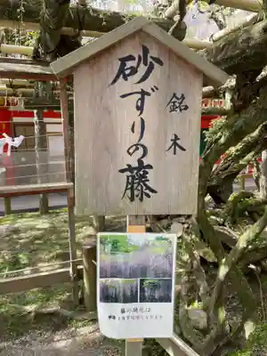 春日大社(奈良県)