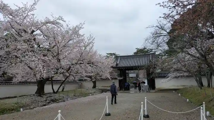 醍醐寺(京都府)