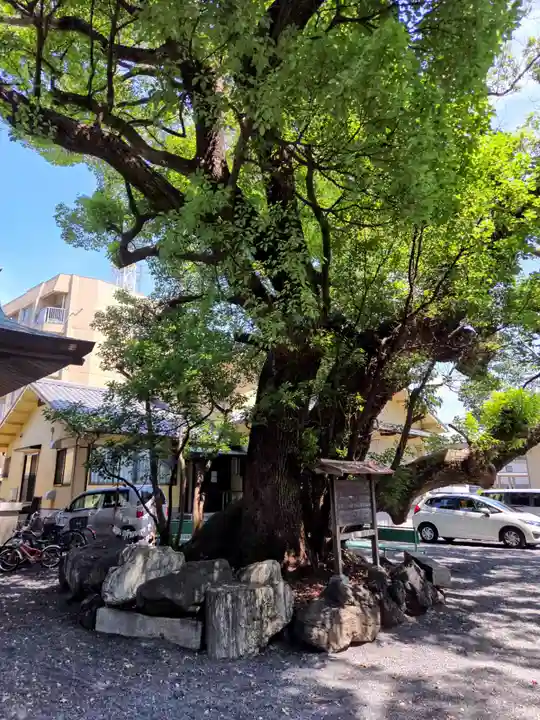 伊河麻神社(静岡県)