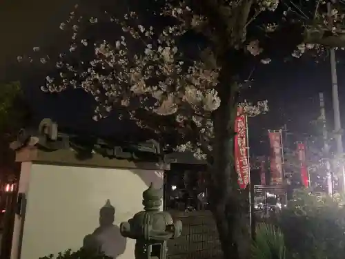 大船観音寺(神奈川県)