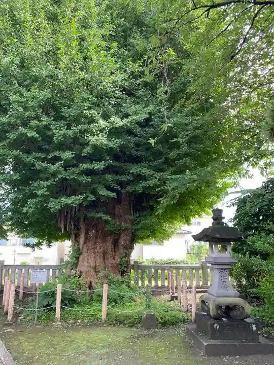 前橋八幡宮(群馬県)