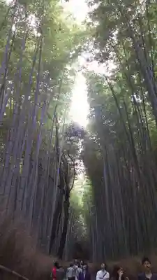 野宮神社の周辺
