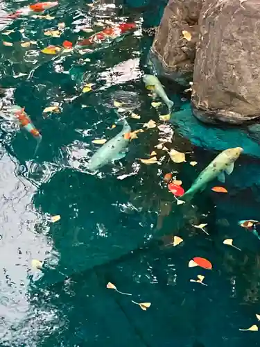 浅草寺(東京都)
