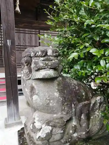 網戸神社の狛犬