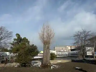 都恵神社(滋賀県)