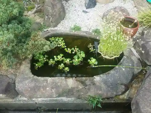 潮音寺(兵庫県)