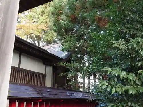中田神社(宮城県)