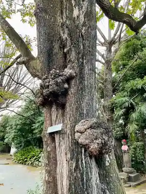 最勝寺教学院(東京都)