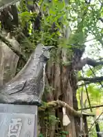 稲毛神社(神奈川県)