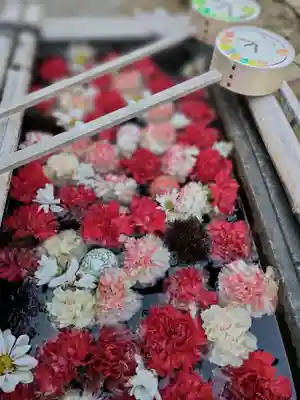 法輪寺の手水舎