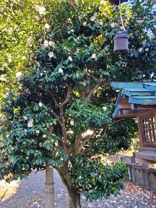 前橋神明宮(群馬県)